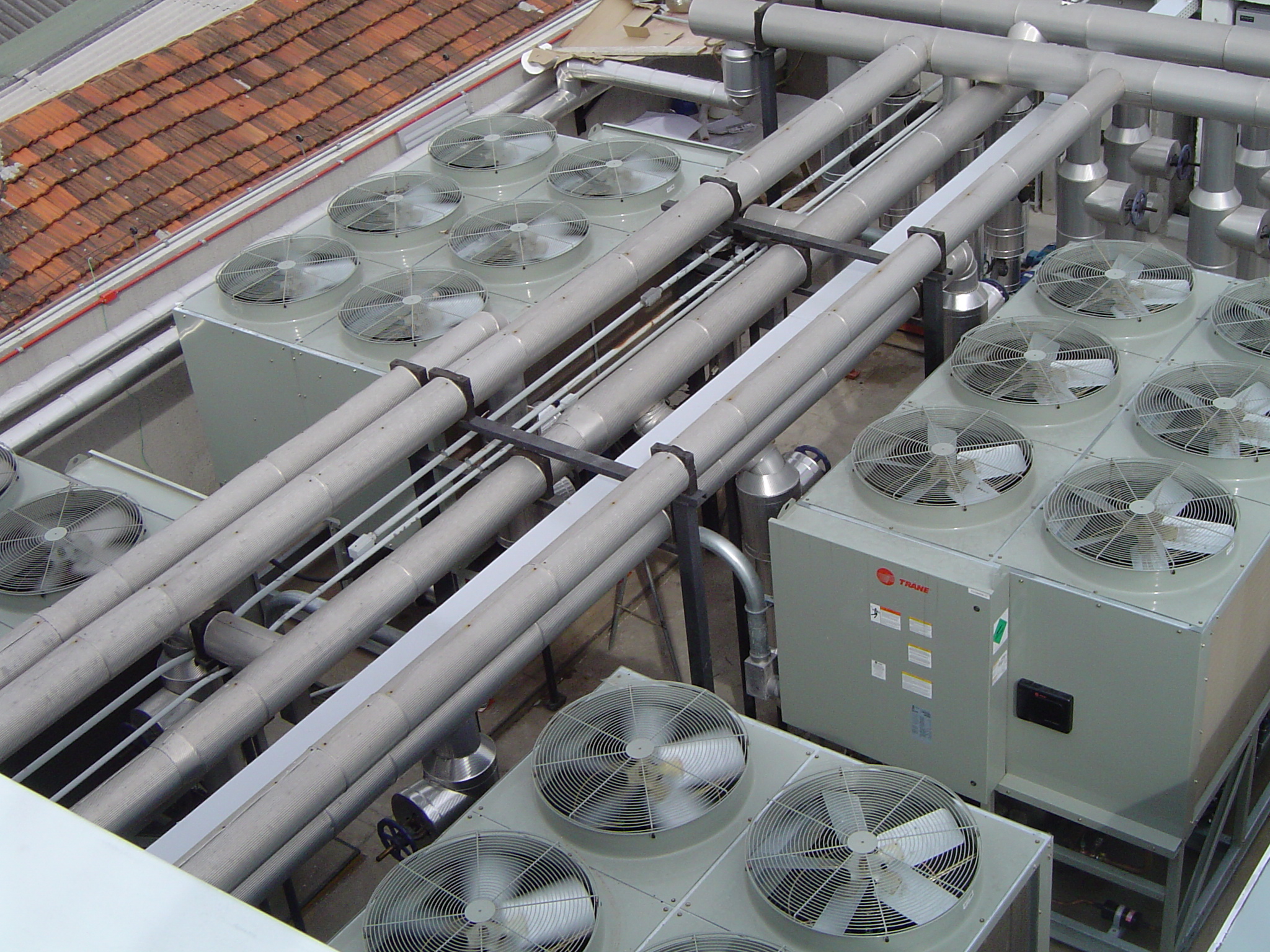 Copy of DSC00025.JPG